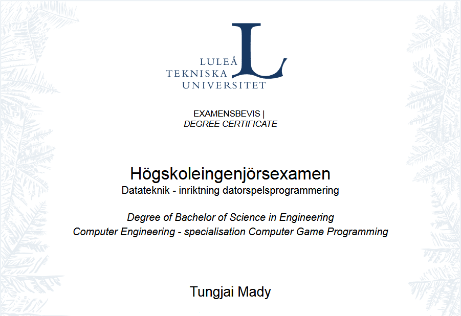 Degree of Bachelor of Science in Engineering